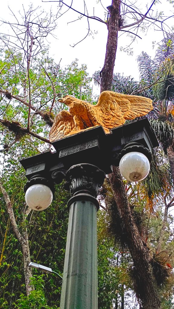 aguila del dique