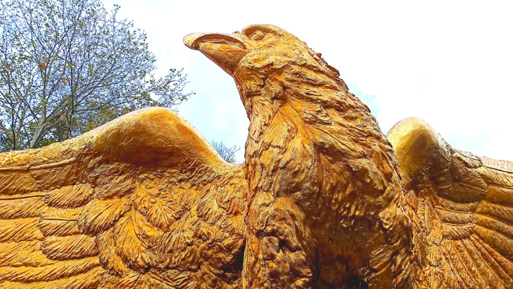 Aguila del dique