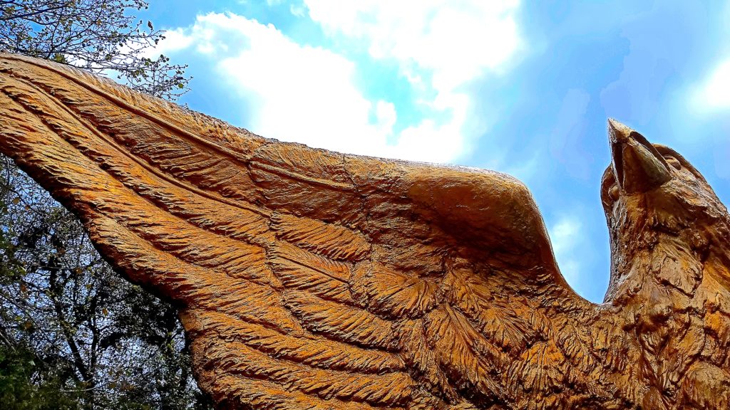 aguila del dique