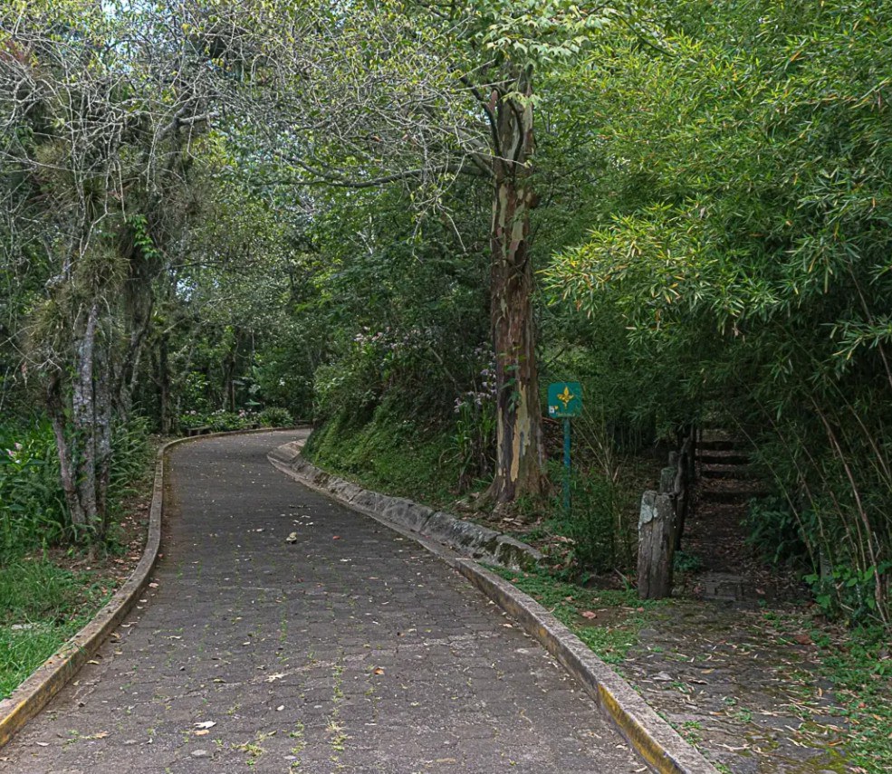 cerro de xalapa