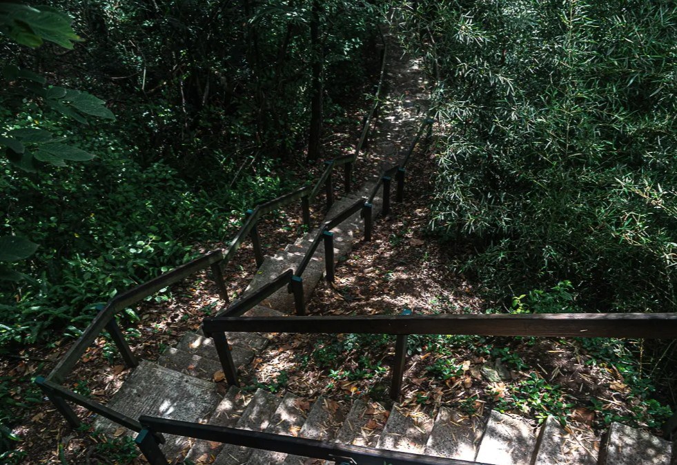 cerro de xalapa