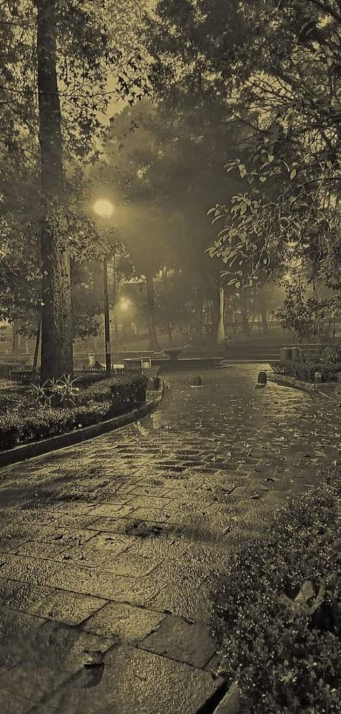 Parque los berros
