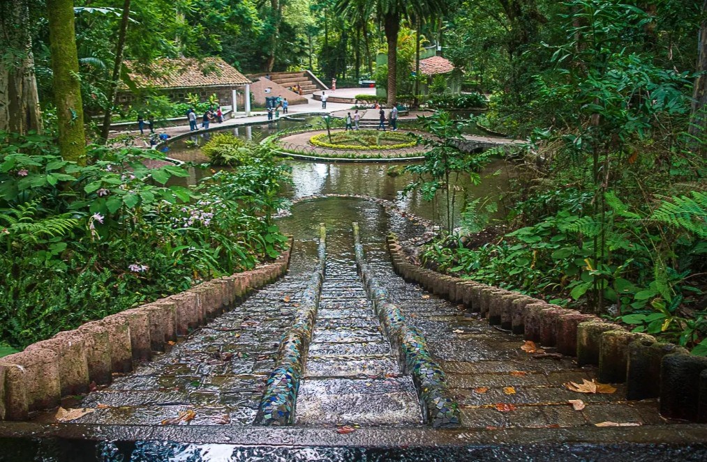 tecajetes xalapa